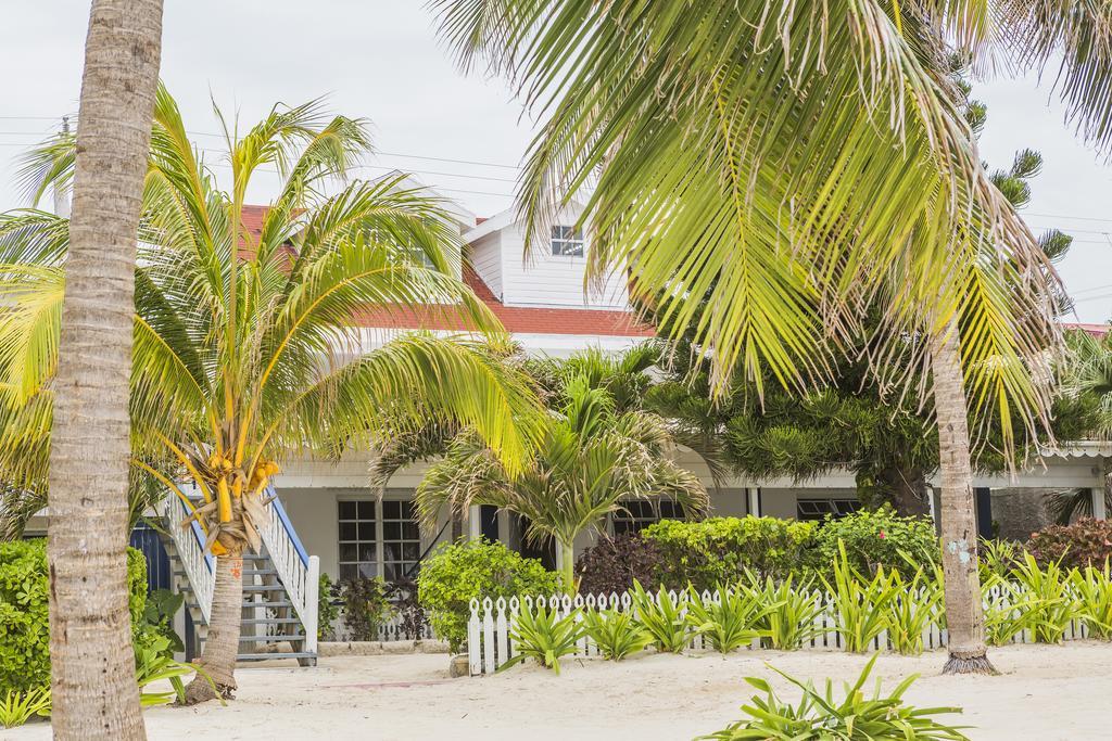Casa Brisa Guest House San Pedro  Bagian luar foto